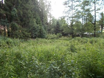 Prodej louky 3266 m² - 11