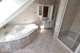 Prodej domu 183 m² pozemkem 6480 m² Prodej domu 183 m² pozem - 11