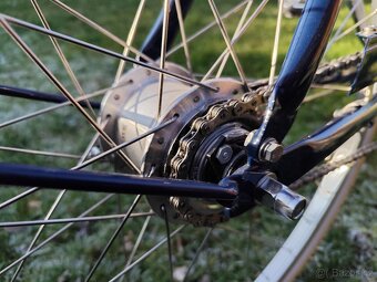 Městské kolo Pashley Briton - 11
