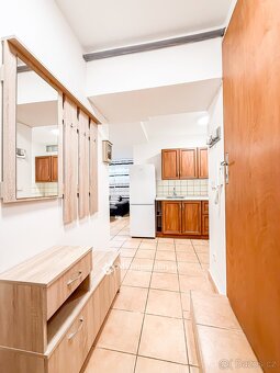 Pronájem vybaveného cihlového bytu 2+kk, 46 m², ul. Chelčick - 11