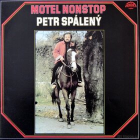 LP Gott, Korn, Modus, Kubišová, Žbirka, L+S aj. - 11
