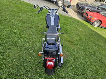 HARLEY DAVIDSON LOW RIDER FXLR 107cu M8 top 2019RV - 11
