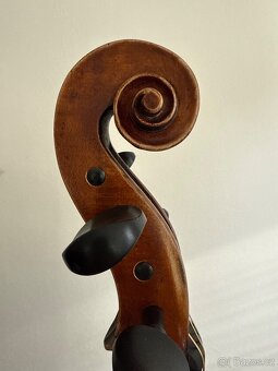 Krásné Violoncello - 11
