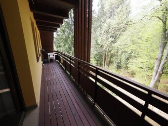 Apartmán 2+kk 49,18m2 + balkon 11,13m2, Harrachov  Nový Svět - 11