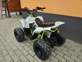 Dětská čtyřkolka Buffalo 125cc - 11