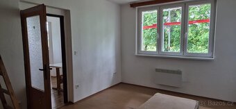 Pronájem bytu Ostrý u Jistebnice - 11