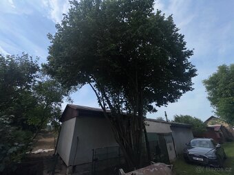 Zahrada s chatkou v Lounech, 303 m² - 11