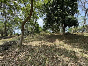 Lot 3 Bodden Bight Estate Jonesville, Roatan - 11
