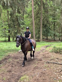 Tábor pro opravdové koňáky - 11