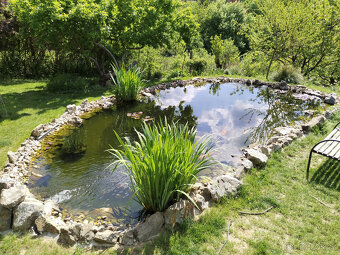 Jezírková filtrace,  technika - 11