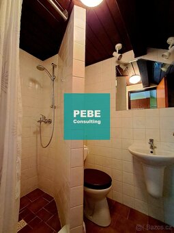 Prodej vily 275 m², pozemek 803 m² Karoliny Světlé, Plzeň - 11