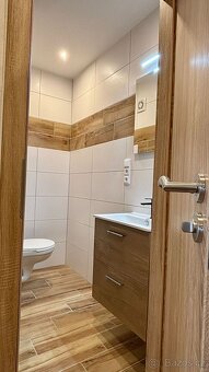 Byt po rekonstrukci 1+KK 30 m2 - 11