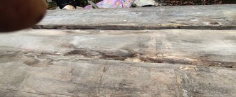 Dubové fošny 80 až 100 let staré - 11