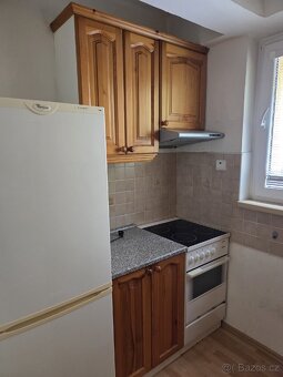 ZACHOVALÁ MASIVNÍ LOŽNICE BOROVICE - 11