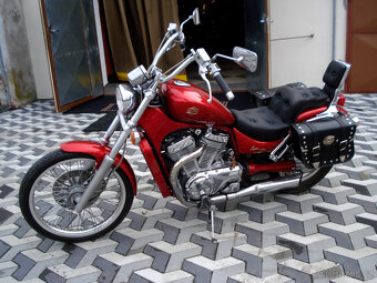 VS 800 Intruder - 11