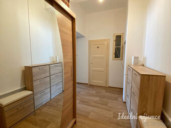 Pronájem bytu 1+1, V Horkách, Nusle, 18.500 Kč/měs, 52 m2 - 11