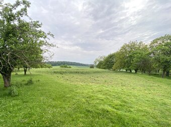 Bezuchov, stavební pozemek 3440m2 - 11