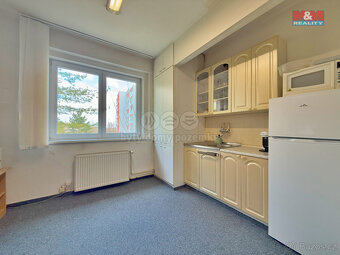 Prodej obchod a služby, 487 m², Čelákovice, ul. Stankovského - 11