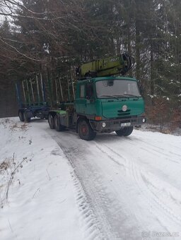 Lesovuz tatra815 - 11