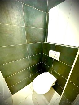 Pronájem bytu 1+1 37 m² Ostrava - Poruba - 11