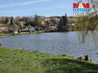 Prodej vodní plochy, 70738 m², Svojšice - 11