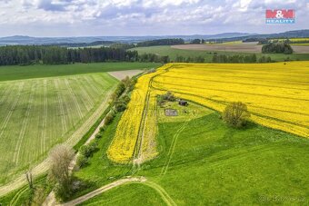 Prodej pole, 6672 m², Pláň, Ostrov u Bezdružic - 11