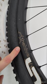 Sjezdové kolo Devinci Wilson Full Carbon 2016 - 11