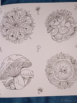 Omalovánky pro dospělé Exotický prales - 11