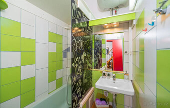 Pronájem bytu 1+1, 40m², ul. Pobřežní, Praha 8 - Karlín, pat - 11