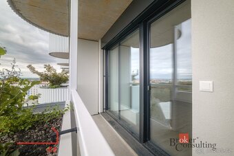 Pronájem, byty/1+kk, 34 m2, U Borského parku 3060/18, Jižní  - 11