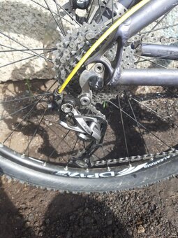 MTB/DIRT PELLIS ROOT - 11