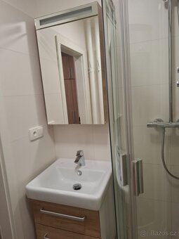 Prodej bytu 2+1 Praha. Smíchov 49 m2 - 11