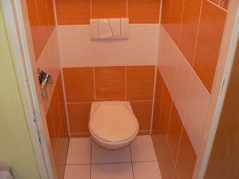 ČEKANICE - byt 4+1 s plechovou garáží a zahrádkou - 11