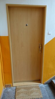 Pronájem cihlového bytu 2+1, 58m² po celkové rekonstrukci - 11