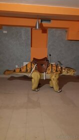 Dinosaurus,  Hýbající, Chodící, Jezdící,  Pevní - 11