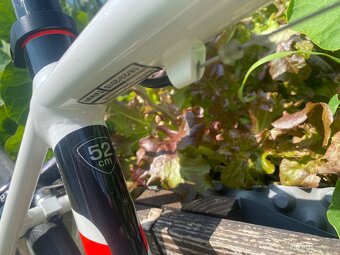 Silnička Specialized Allez E5 Sport - 11