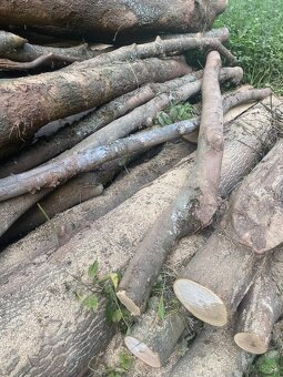 Palivové dřevo,všechny druhy,štípané nebo špalky - 11