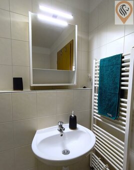 Pronájem luxusního bytu na Praze 3 , Žižkově - 11