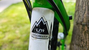 Specialized Carve Comp 29 vel L-19 - 11