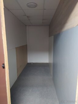 SLADOVACI KOJI PLZEN. - 11