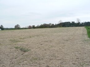 KVĚTOV (Hamr) - pozemek na RD na polosamotě - 11