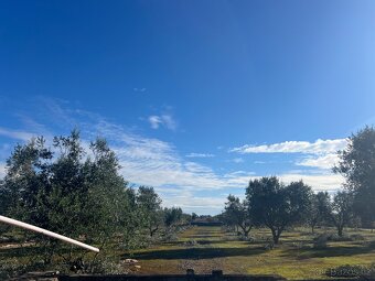 Stavebni pozemek 12.000m2 u moře🇮🇹 - 11