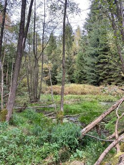 Pozemek 6 104 m² na Vysočině – BEZ RK - 11