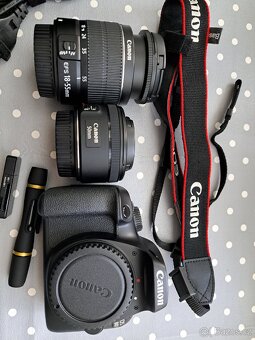 Canon EOS4000D 18-55 - 11