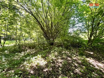 Prodej zahrady, 1281 m², Chřibská - 11