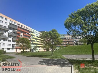 Podnájem, byty/1+1, 37.5 m2, Mitušova 1417/85, 70030 Ostrava - 11