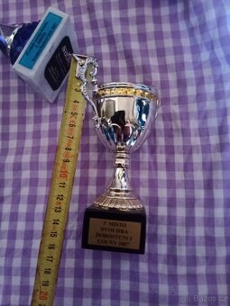 Prodám poháry, trofeje kus 50 Kč - 11