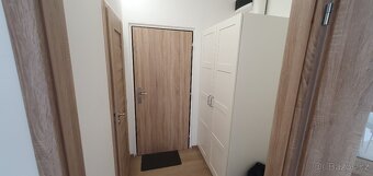 Pronájem bytu 2+1 50m2 ul. Plamínkové, Pankrác - 11