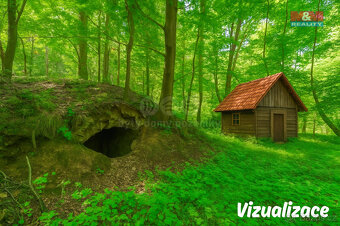Prodej stodoly s lesním pozemkem 5096 m², Hostouň - Slatina - 11