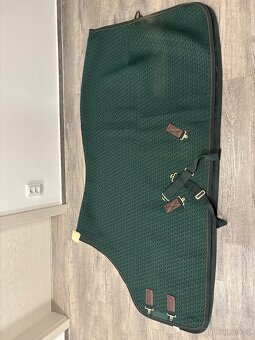 Kentucky, Lemieux, Zandona atd - 11